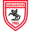 samsunspor